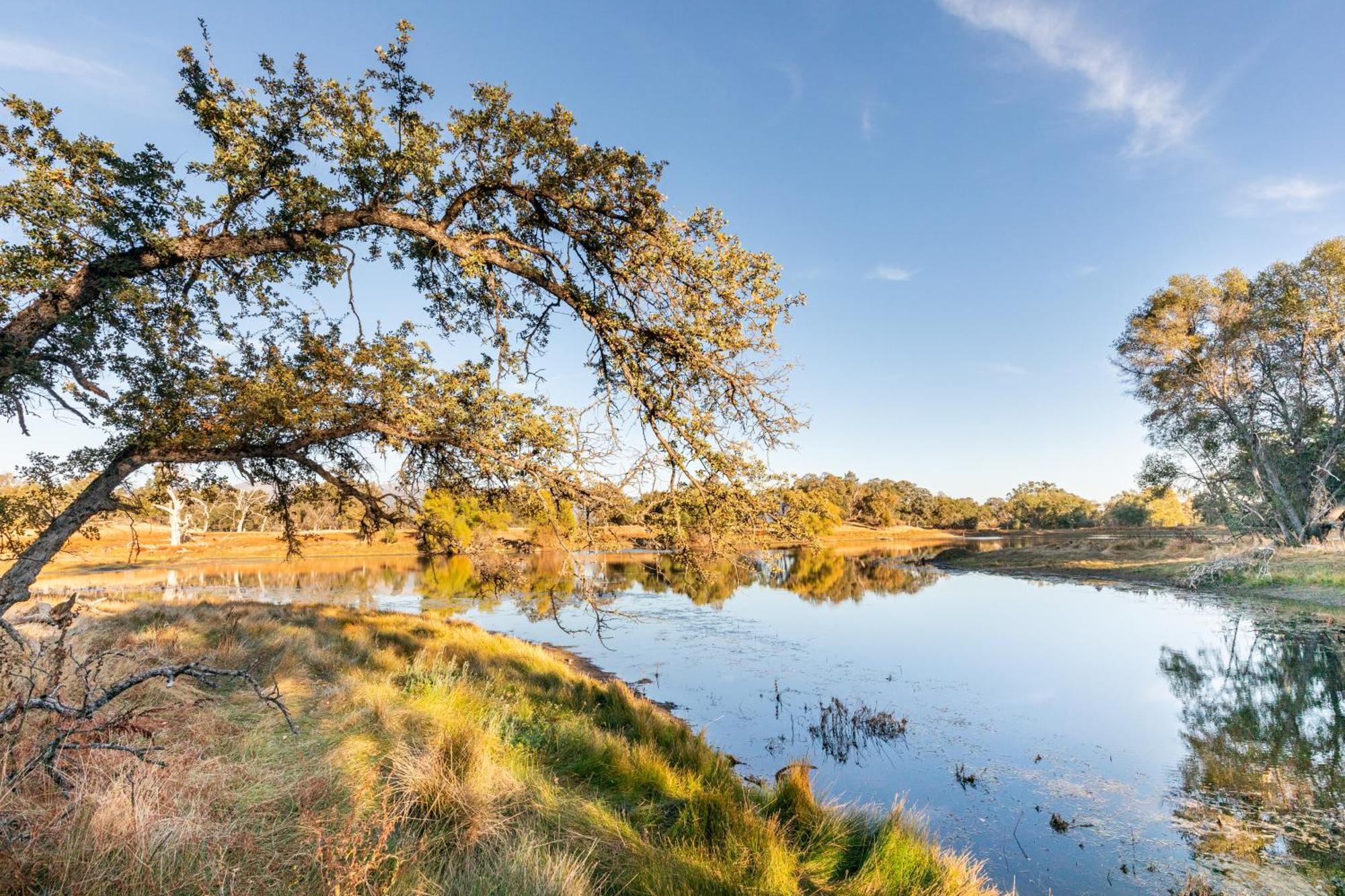 Rolling Oaks Ranch - 200 Acres Of Lakeside Beauty & Countryside Serenity Μαριπόζα Εξωτερικό φωτογραφία