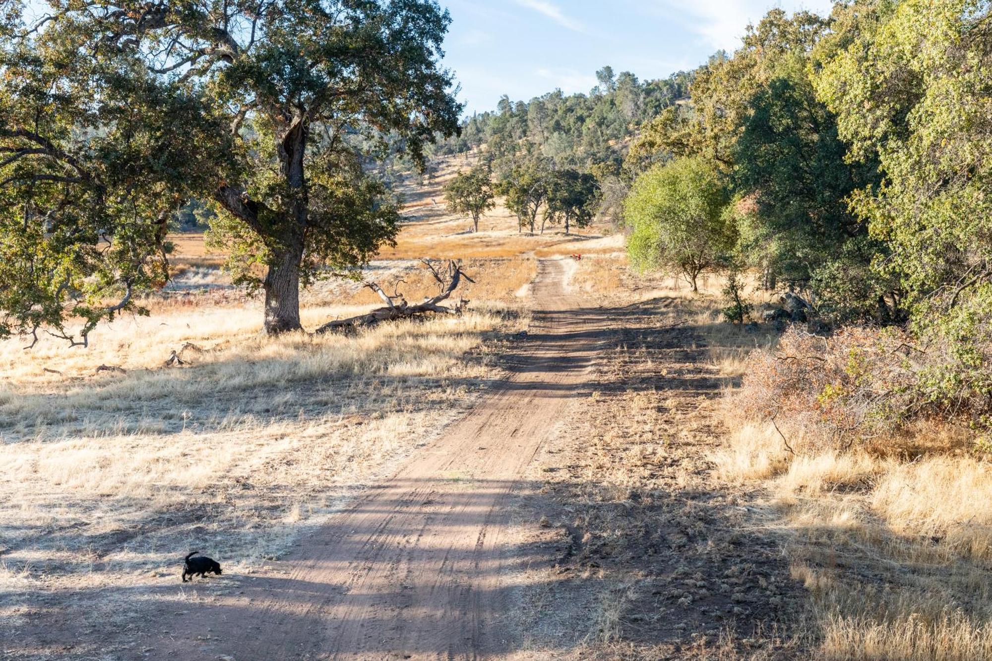 Rolling Oaks Ranch - 200 Acres Of Lakeside Beauty & Countryside Serenity Μαριπόζα Εξωτερικό φωτογραφία