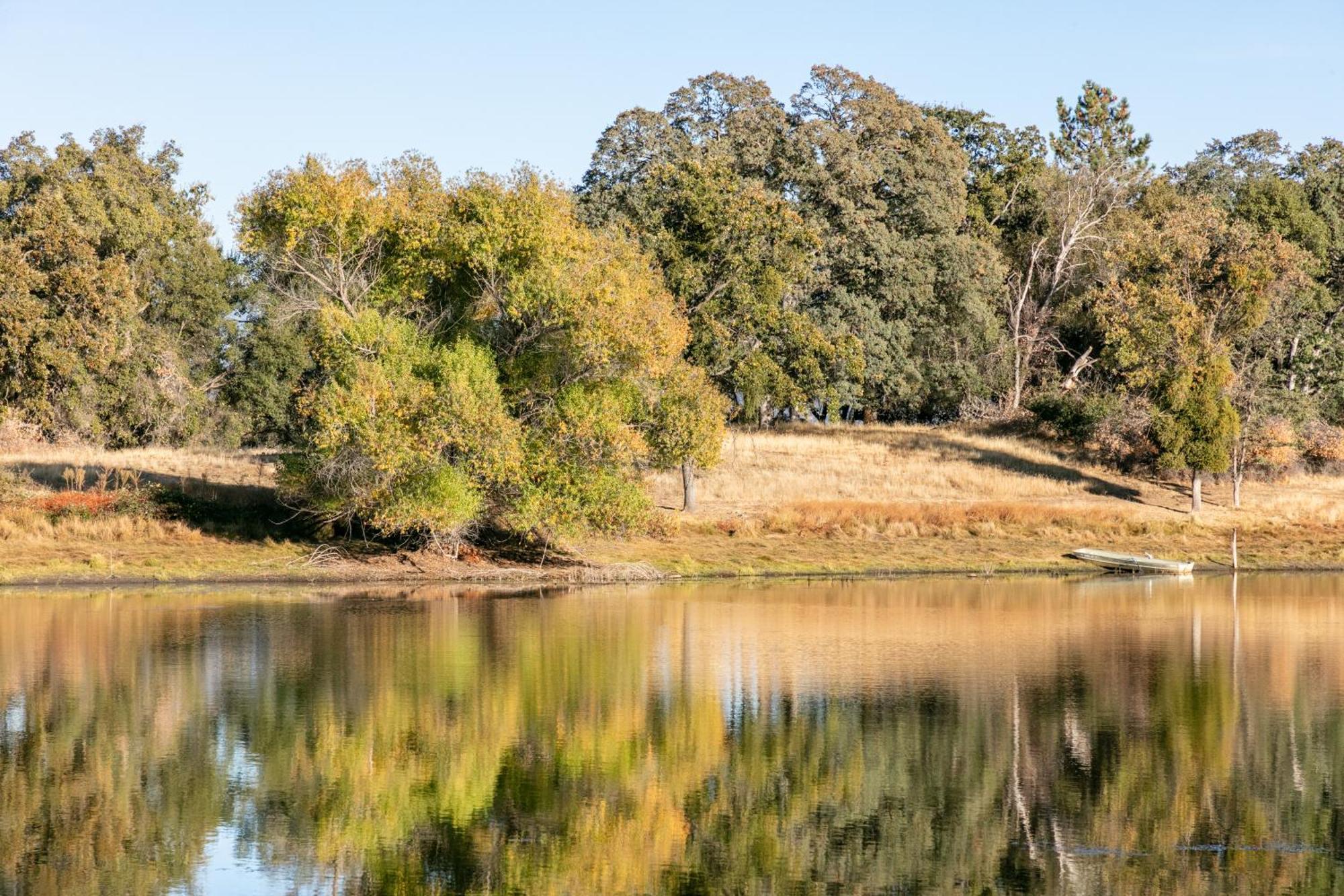 Rolling Oaks Ranch - 200 Acres Of Lakeside Beauty & Countryside Serenity Μαριπόζα Εξωτερικό φωτογραφία