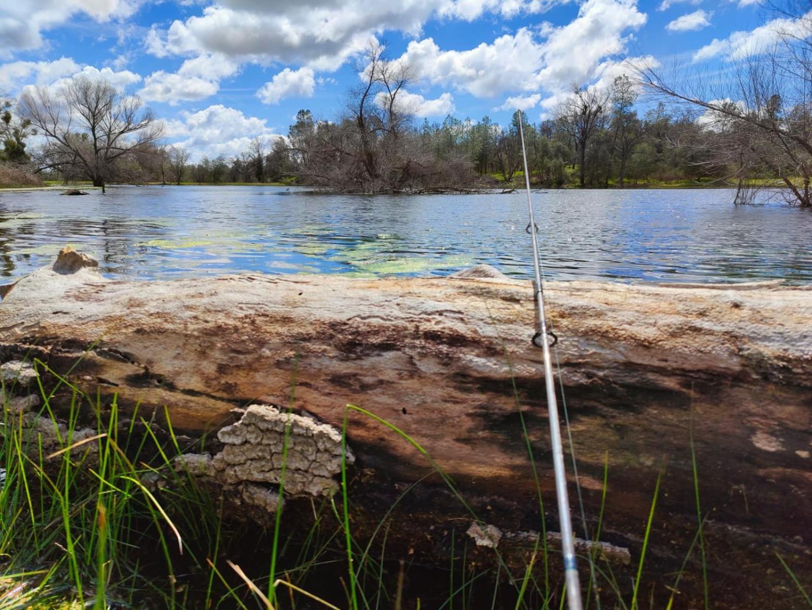 Rolling Oaks Ranch - 200 Acres Of Lakeside Beauty & Countryside Serenity Μαριπόζα Εξωτερικό φωτογραφία