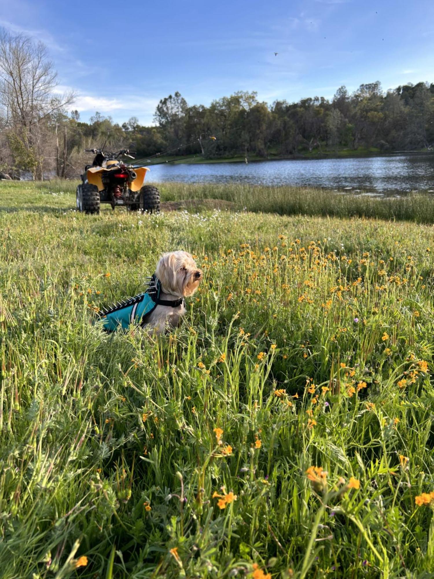 Rolling Oaks Ranch - 200 Acres Of Lakeside Beauty & Countryside Serenity Μαριπόζα Εξωτερικό φωτογραφία
